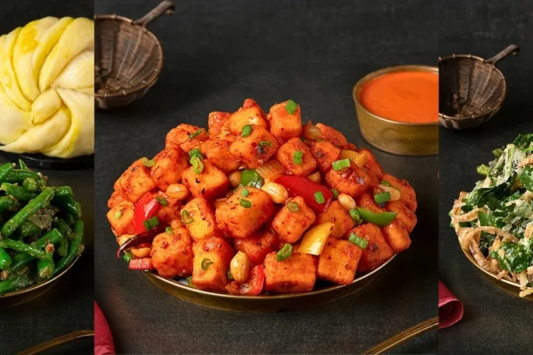 Veg Tibetan Appetizers_ Experience the Taste of Himalayan Cuisine